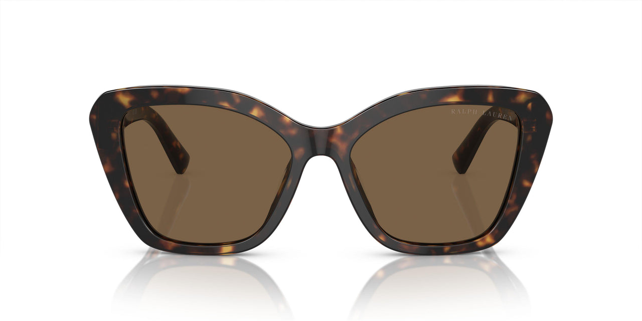 500373 - Tortoise - Brown