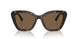 500373 - Tortoise - Brown