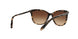 146213 - Brown - Dark Brown Gradient