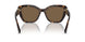 500373 - Tortoise - Brown