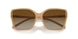 1965T5 - Brown - Brown Polarized