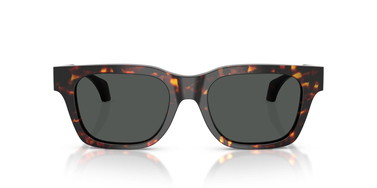 550987 - Tortoise - Dark Grey