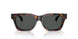 550987 - Tortoise - Dark Grey