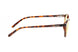 02301200 - Tortoise - Amber