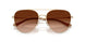 900574 - Gold - Brown Gradient