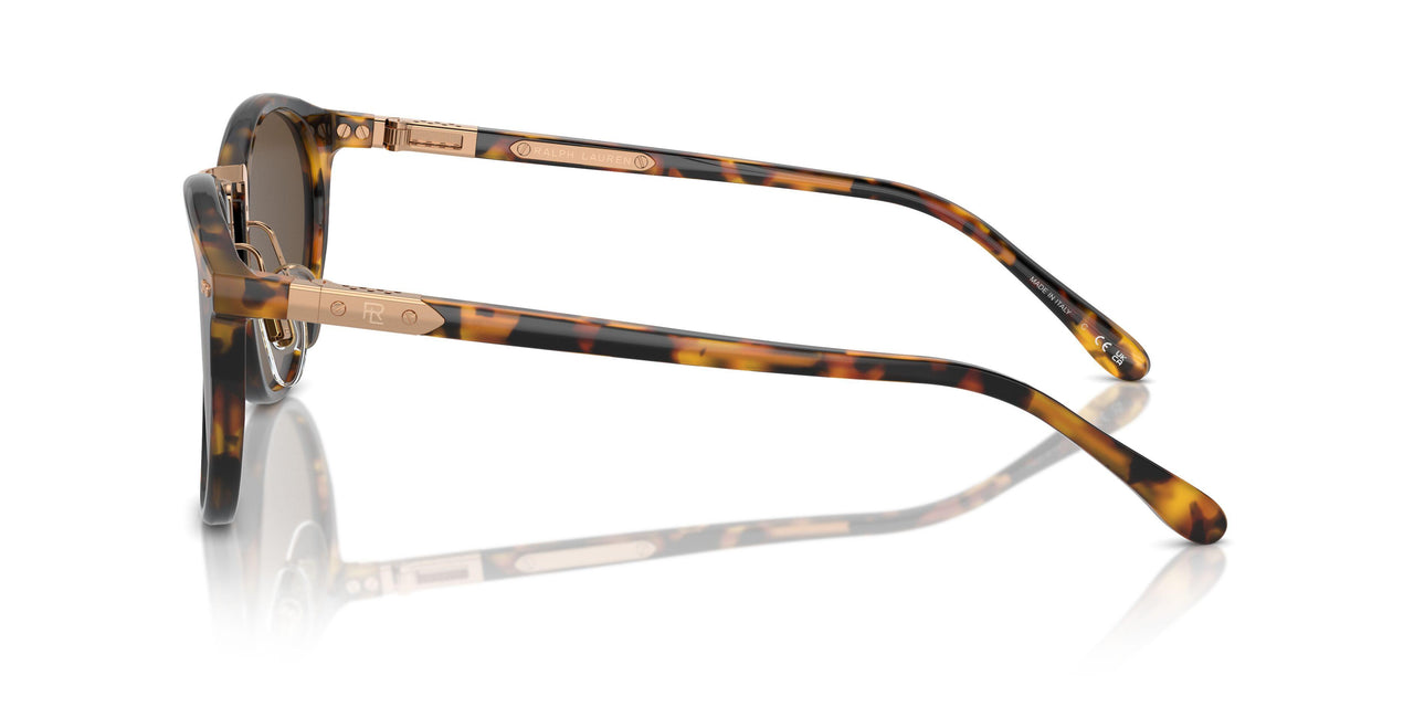 513453 - Tortoise - Brown