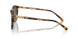 513453 - Tortoise - Brown