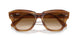 140351 - Tortoise - Clear & Brown