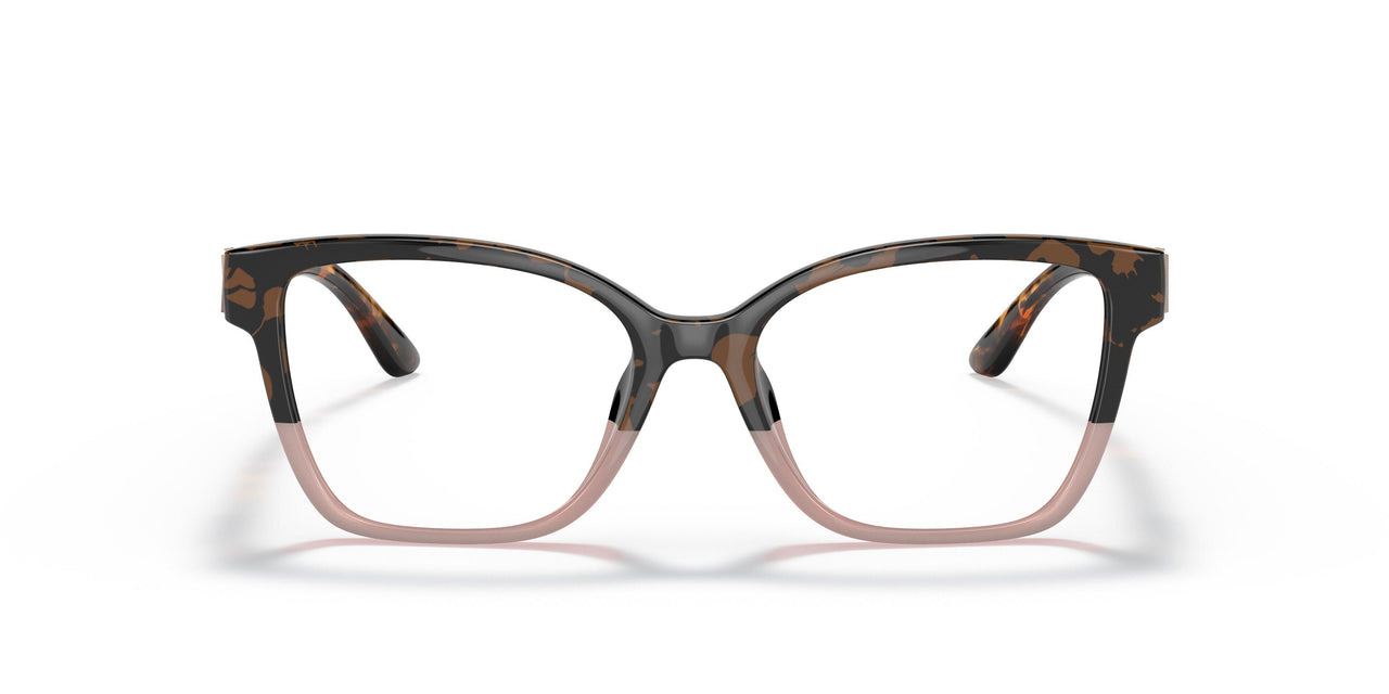 3909 - Tortoise