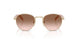 ZVN0A6 - Gold - Brown Gradient