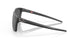 910004 - Black - Prizm Black Polar