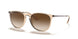651413 - Light Brown - Brown Gradient Dark Brown