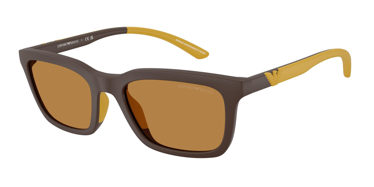 Emporio Armani 4249U Sunglasses