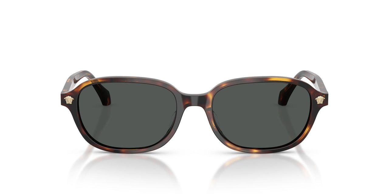 553773 - Tortoise - Dark Brown