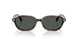 553773 - Tortoise - Dark Brown