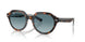 14133M - Tortoise - Blue Gradient Grey