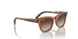 712713 - Brown - Brown Gradient