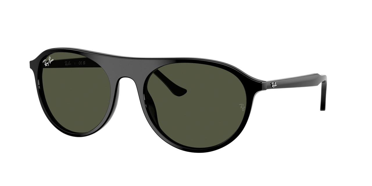 Ray-Ban 2215F Sunglasses