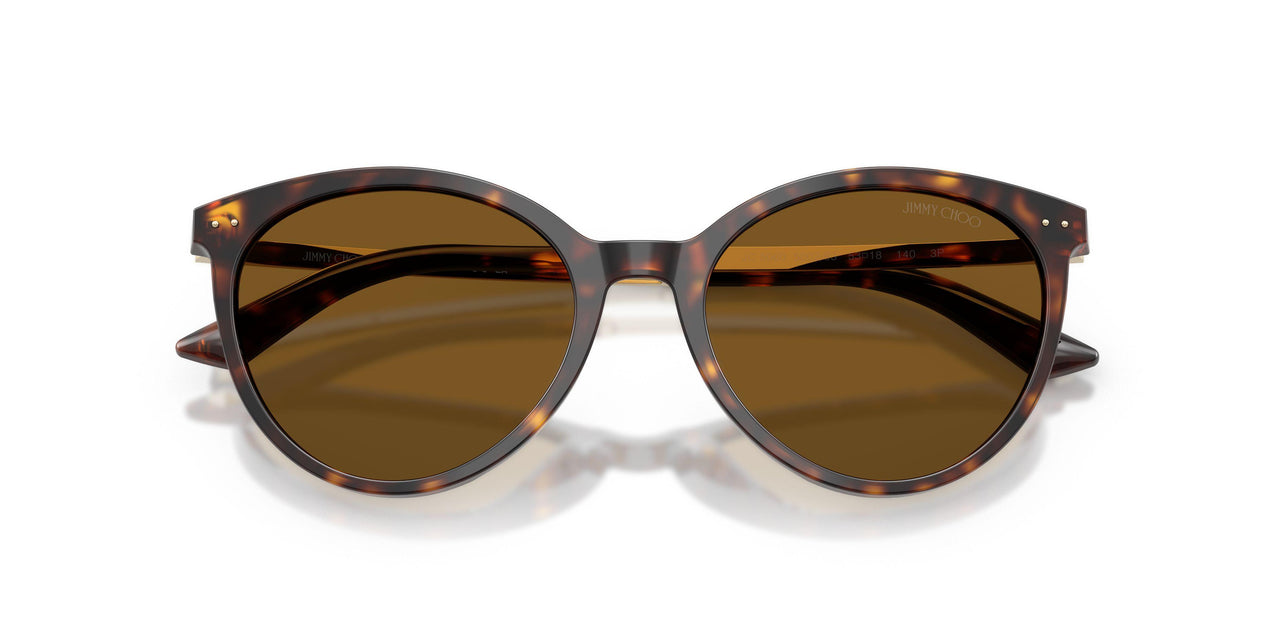 500283 - Tortoise - Dark Brown Polar