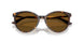 500283 - Tortoise - Dark Brown Polar