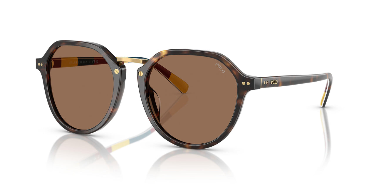 621273 - Tortoise - Dark Brown
