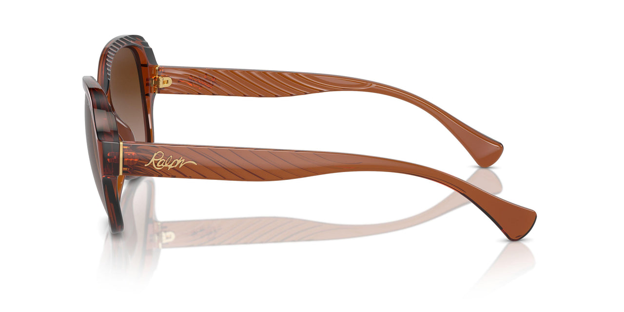 614913 - Brown - Gradient Brown