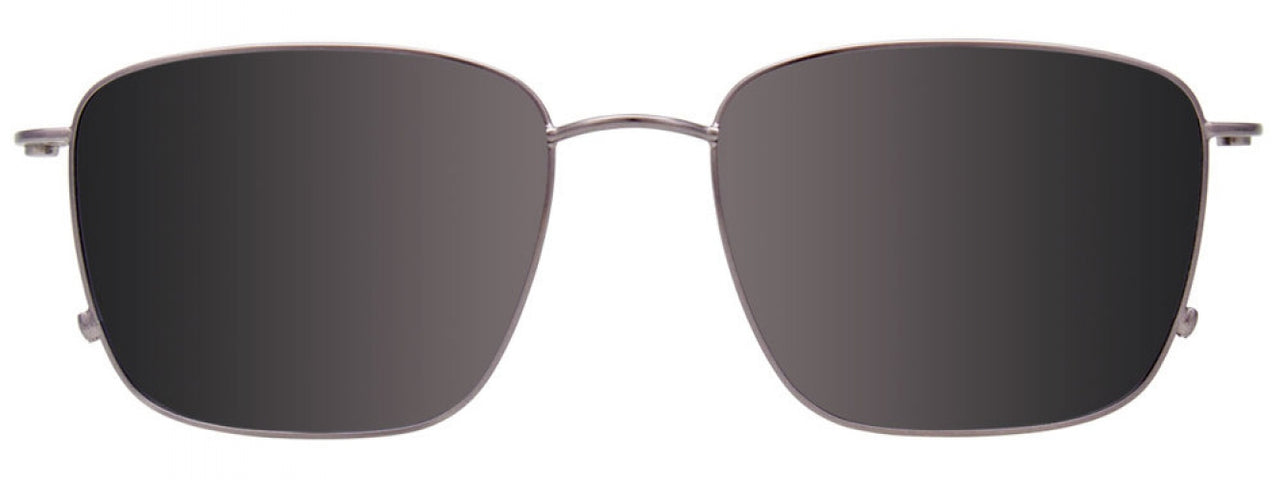 10 - Tortoise & Grey / Tortoise & Grey
