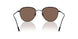 300173 - Black - Brown