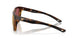 912203 - Tortoise - Gold Mirror