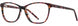 2 - Plum Tortoise