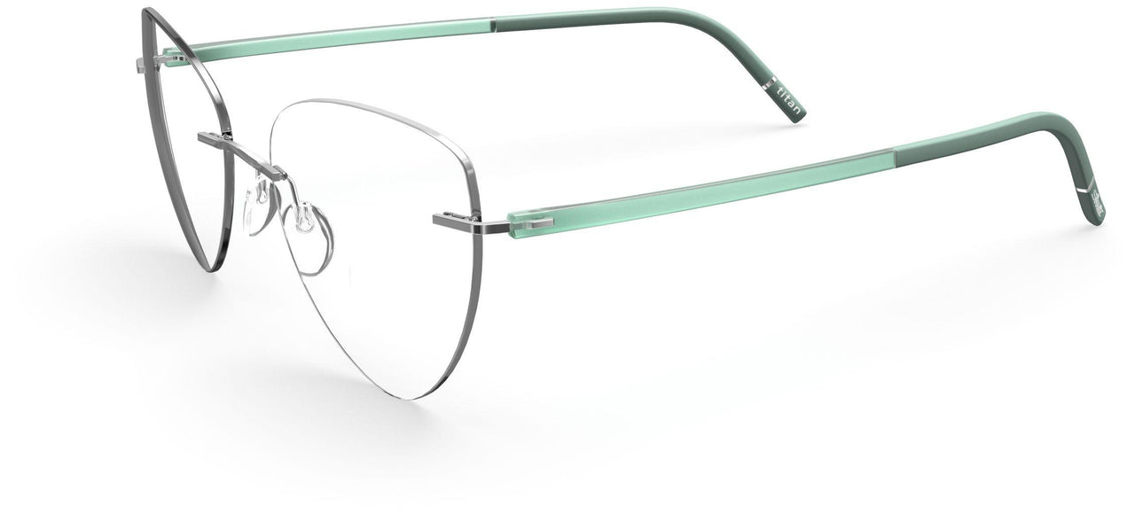 7110 - silver