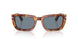 106/56 - Tortoise - Light Blue