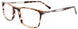 10 - Brown Tortoise