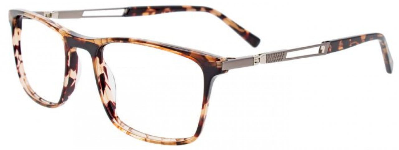 10 - Brown Tortoise