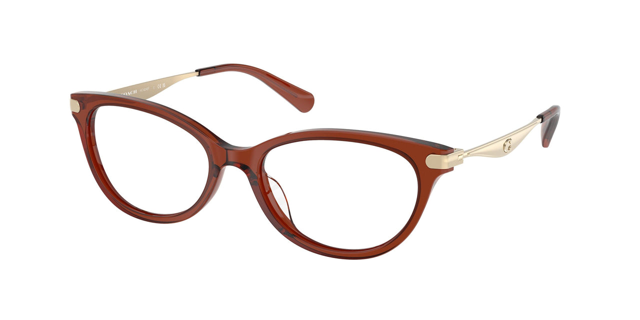 Coach 6245F Eyeglasses