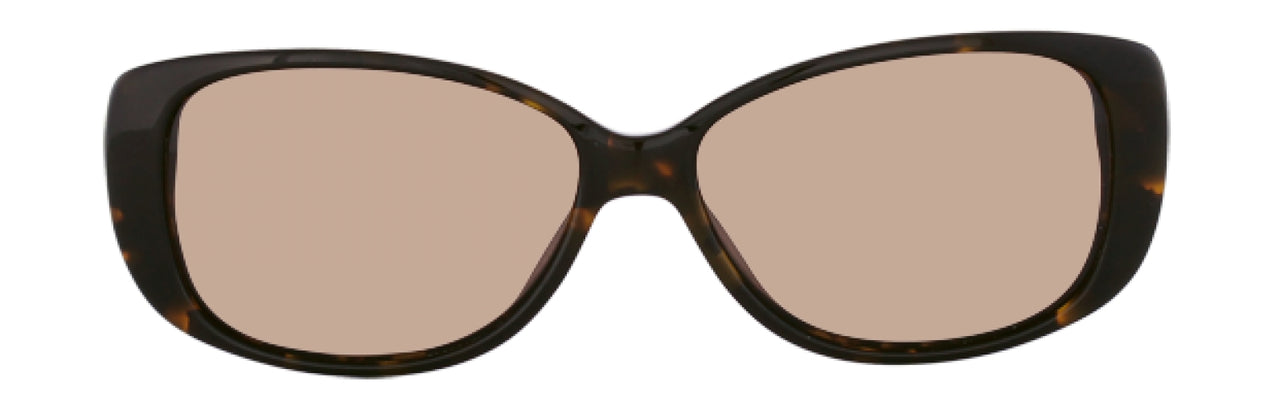 550 - Tortoise