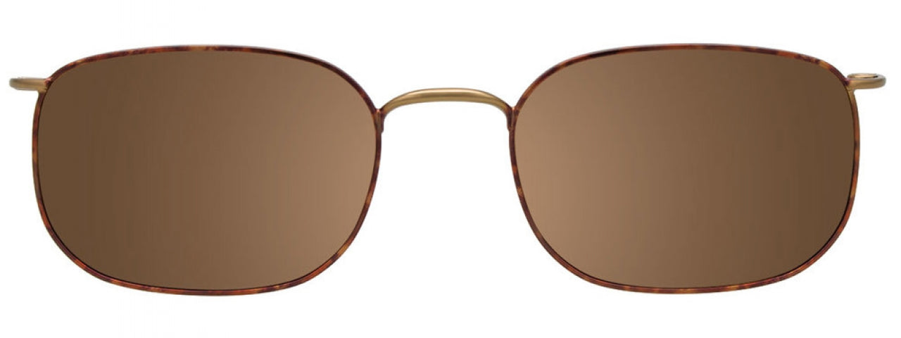 10 - Tortoise & Gold