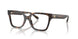 1964 - Tortoise