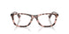 6058 - Tortoise