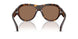 300273 - Tortoise - Brown Solid