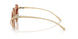ZVN90Q - Gold - Brown