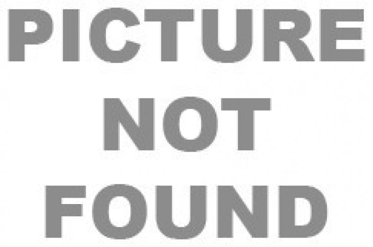 Skechers 1689 Eyeglasses