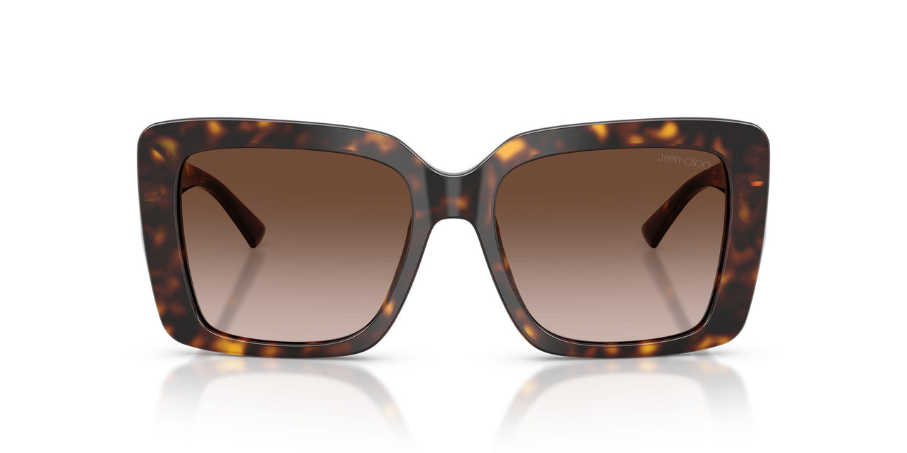 500213 - Tortoise - Brown Gradient