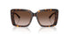 500213 - Tortoise - Brown Gradient