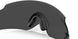 945501 - Black - Prizm Black