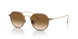 334051 - Bronze/copper - Clear Gradient Brown