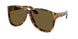 14L09Z - Tortoise - Dark Brown