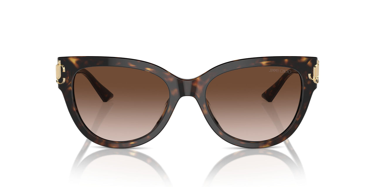 500213 - Tortoise - Gradient Brown