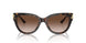 500213 - Tortoise - Gradient Brown
