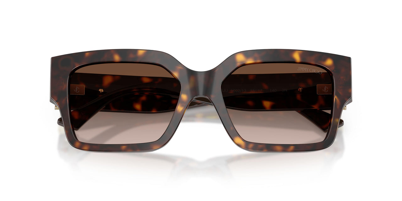 500213 - Tortoise - Brown Gradient
